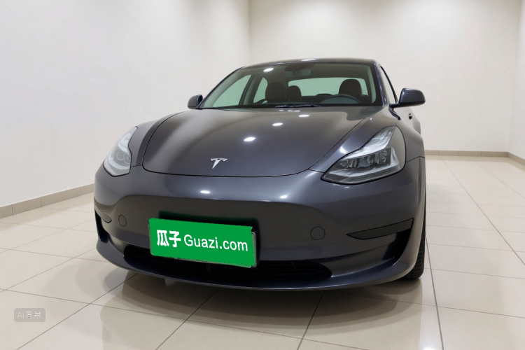 Tesla Model 3 2021 #3 Tesla Model 3 2021 car image #3