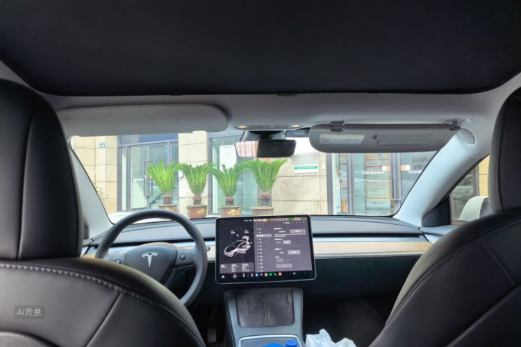 Tesla Model 3 2021 car image #20