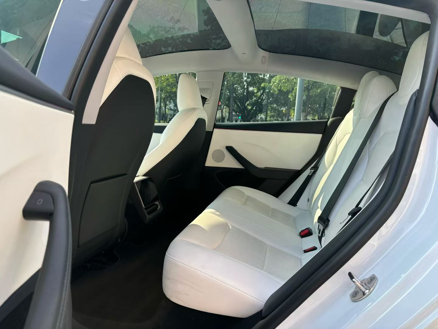 Tesla Model 3 2024 #8 Tesla Model 3 2024 car image #8