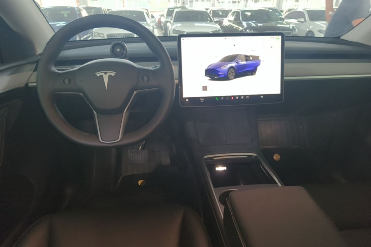 Tesla Model Y 2023 car image #10