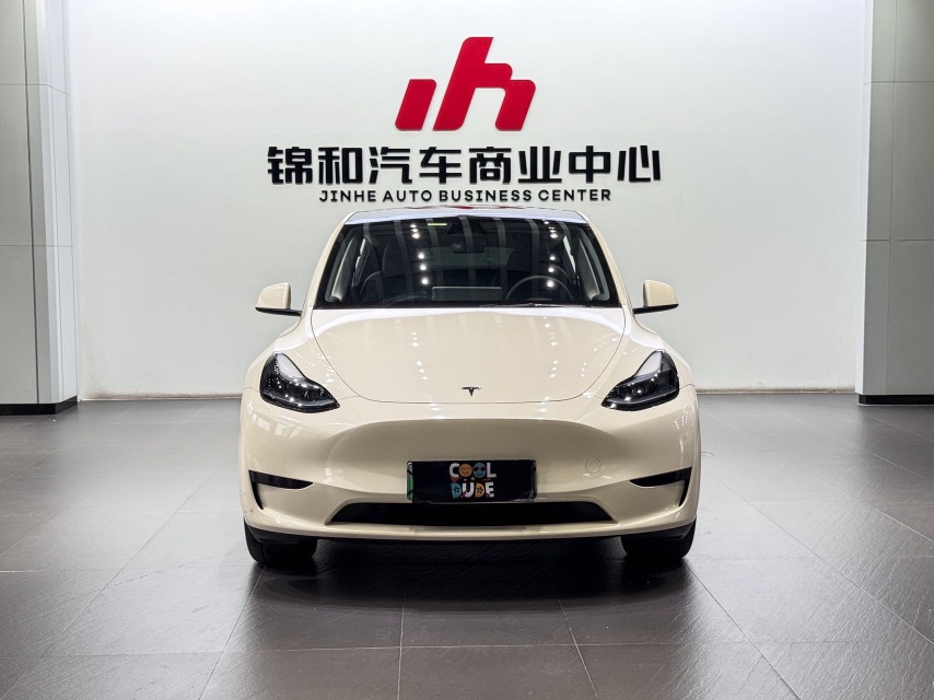 Tesla Model Y 2024 car image #2