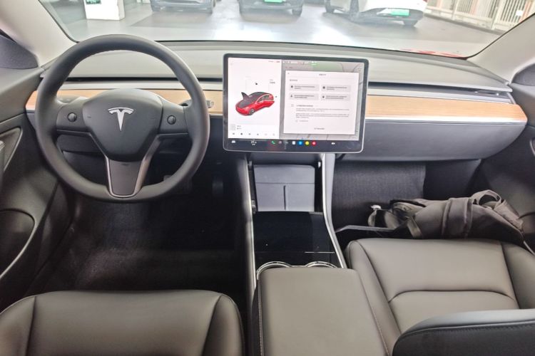 Tesla Model 3 2020 car image #10