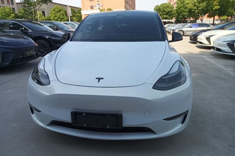 Tesla Model Y 2021 #3 Tesla Model Y 2021 car image #3