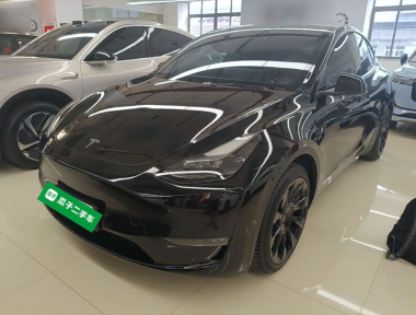 Tesla Model Y 2021 Tesla Model Y 2021 car image