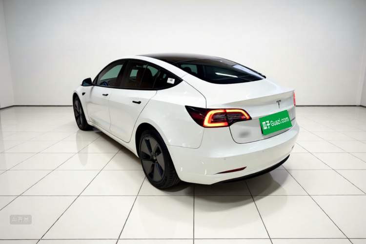 Tesla Model 3 2021 #5 Tesla Model 3 2021 car image #5