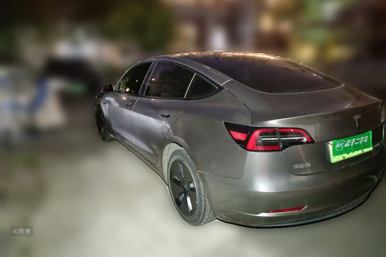 Tesla Model 3 2022 car image #5