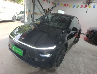Tesla Model Y 2025 car image 