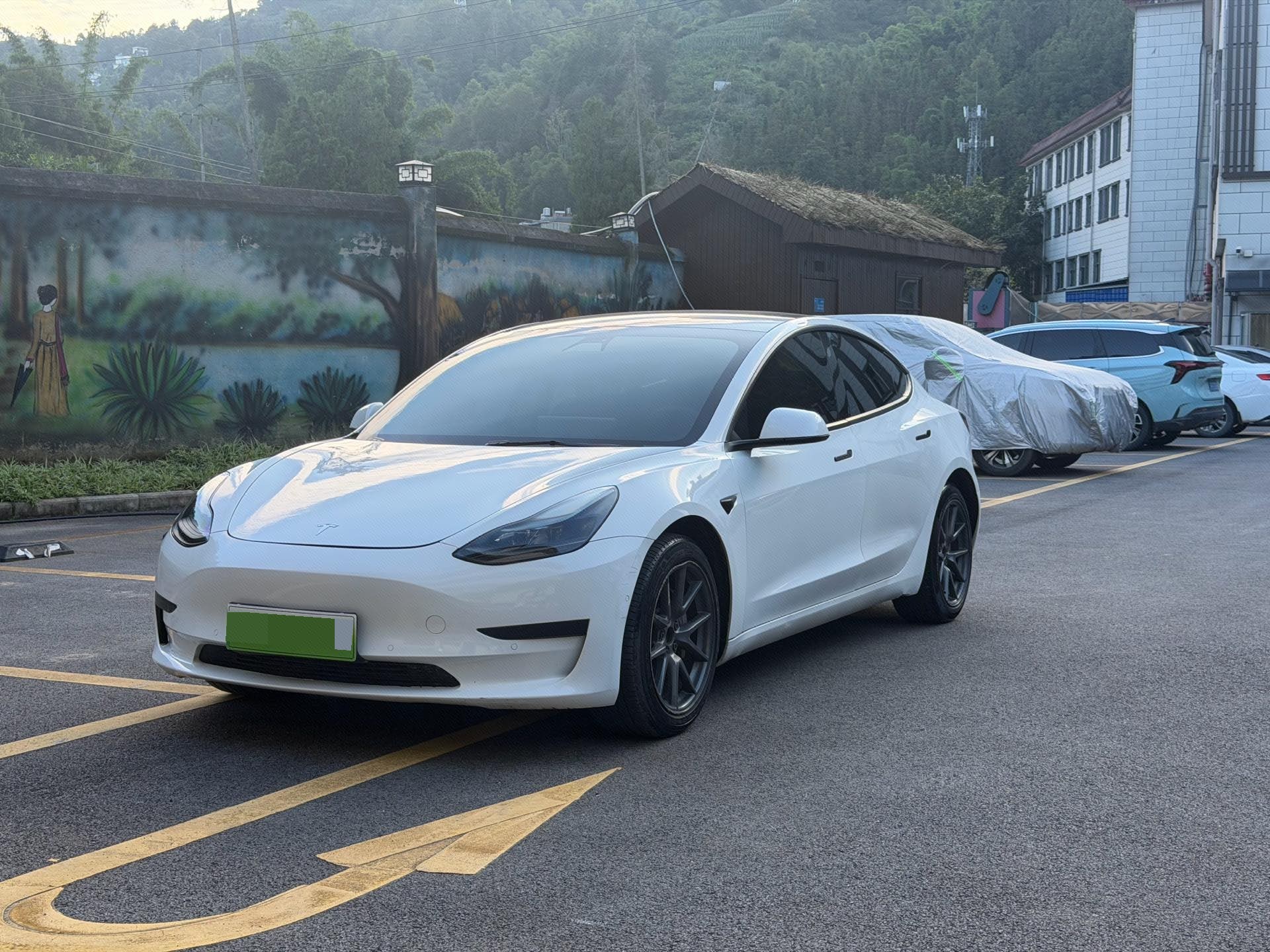 Tesla Model 3 2021 Tesla Model 3 2021 car image