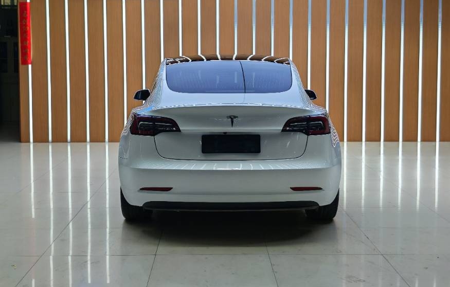 Tesla Model 3 2020 #3 Tesla Model 3 2020 car image #3