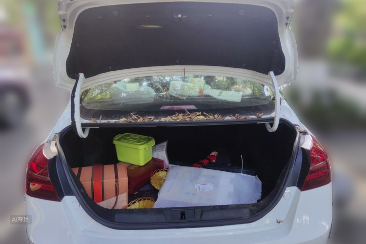GEELY Emgrand 2018 car image #21