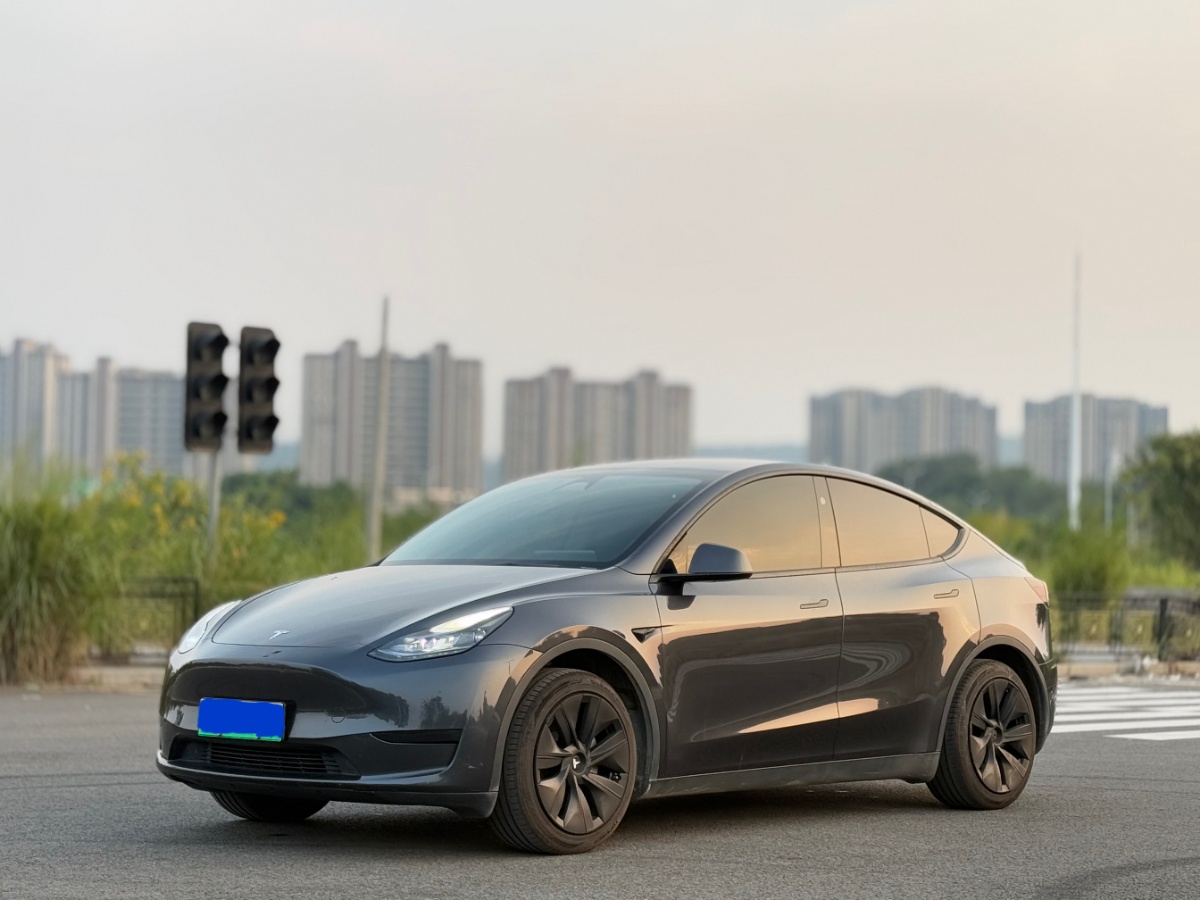 Tesla Model Y 2024 Tesla Model Y 2024 car image