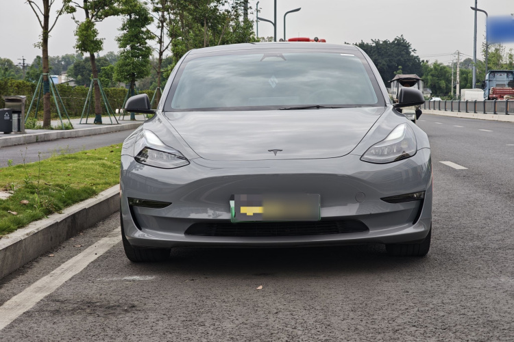 Tesla Model 3 2021 #3 Tesla Model 3 2021 car image #3
