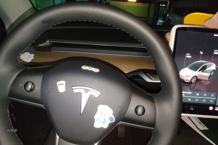 Tesla Model Y 2023 car image #13