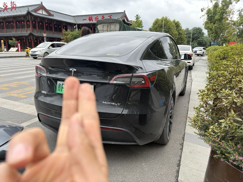Tesla Model Y 2023 car image #6