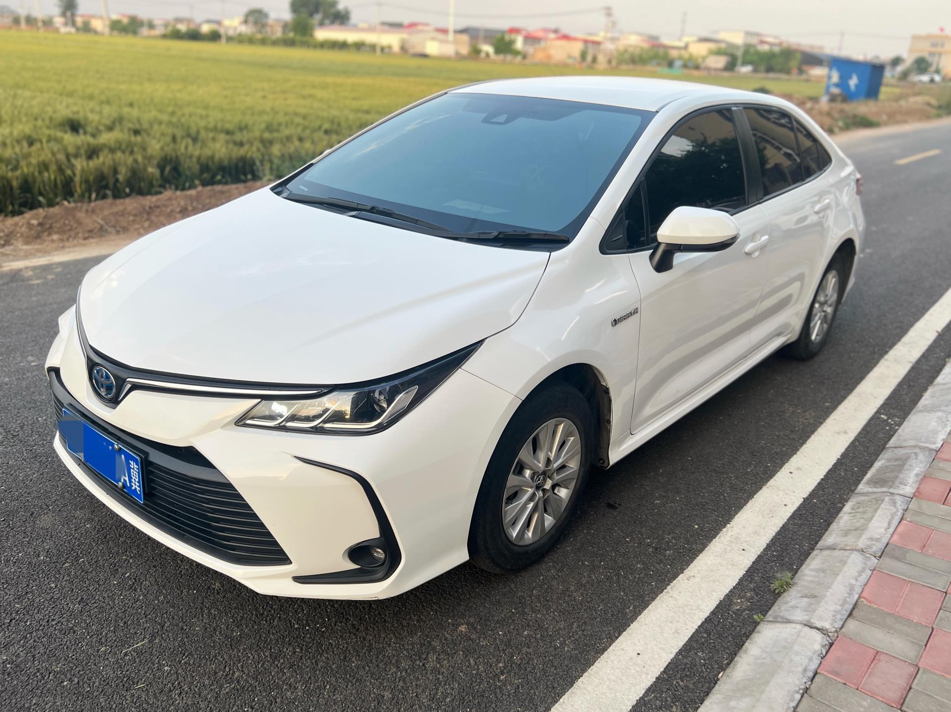 Toyota Corolla 2023 car image 