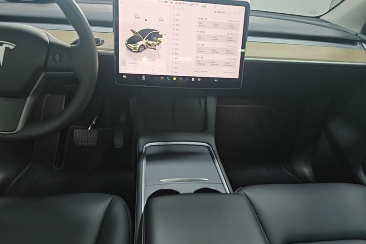 Tesla Model Y 2022 car image #10