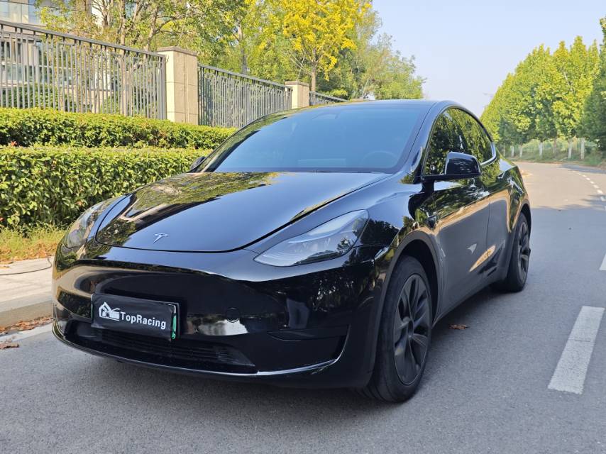 Tesla Model Y 2023 Tesla Model Y 2023 car image
