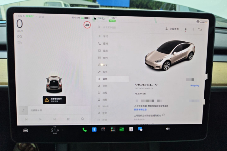 Tesla Model Y 2021 car image #12