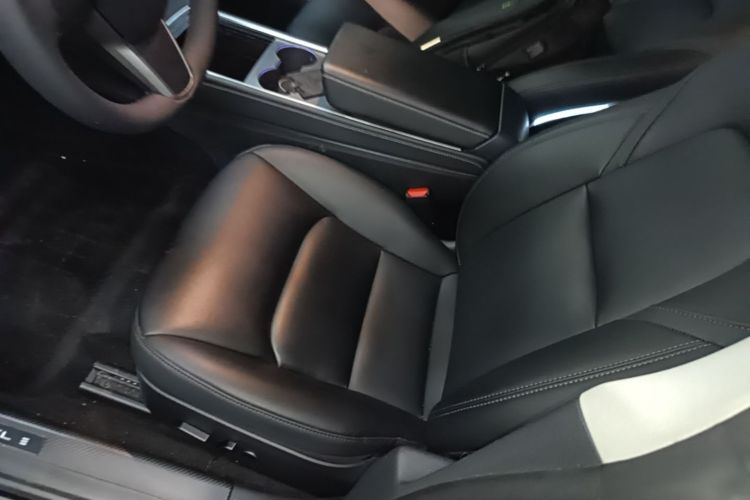 Tesla Model 3 2022 car image #15