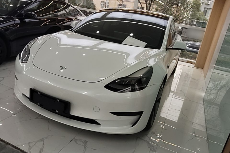 Tesla Model 3 2021 #2 Tesla Model 3 2021 imagem de carro #2