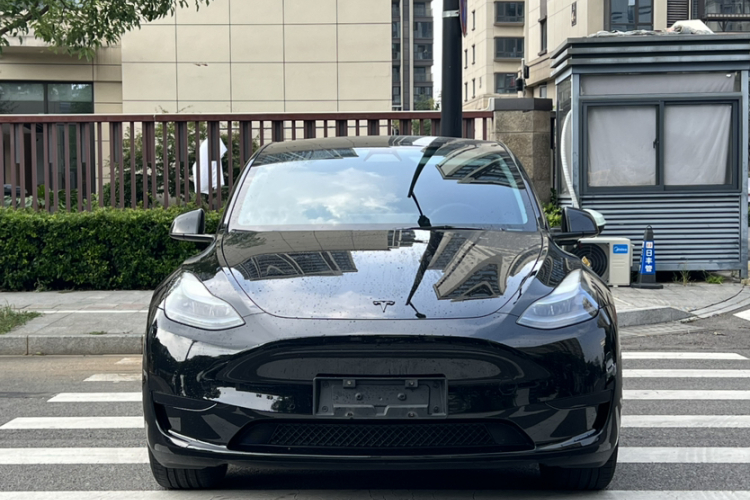 Tesla Model Y 2023 #3 Tesla Model Y 2023 car image #3