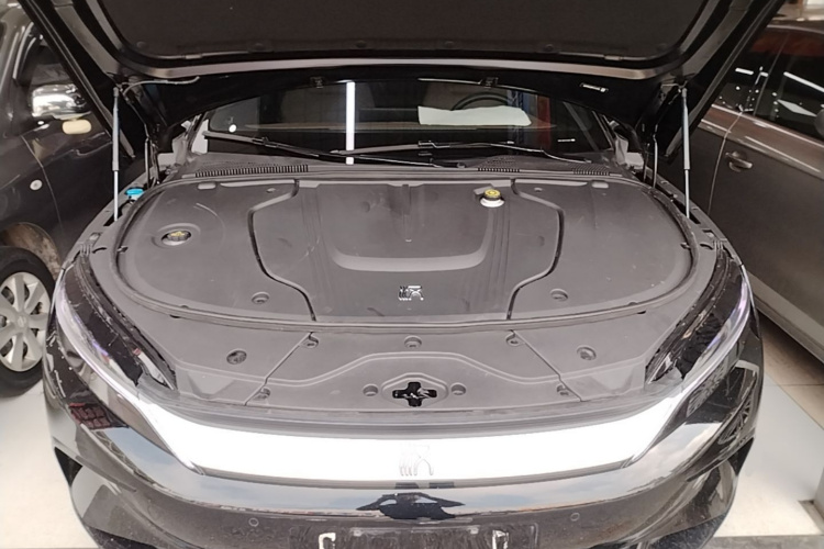 BYD Han 2023 car image #20