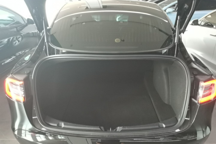 Tesla Model 3 2020 car image #19