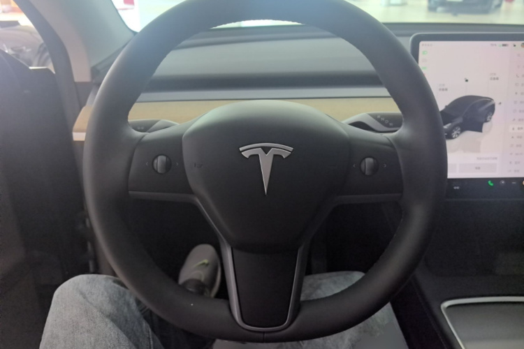 Tesla Model Y 2023 immagine di auto #11
