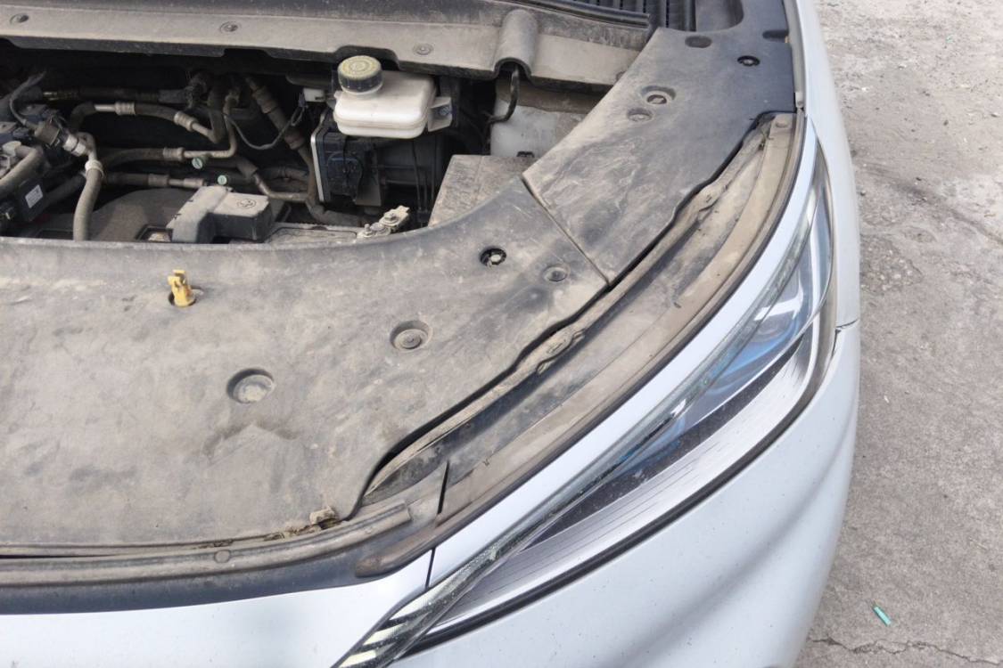 BYD Yuan Plus 2024 car image #12
