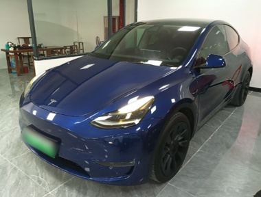 Tesla Model Y 2021 Tesla Model Y 2021 car image