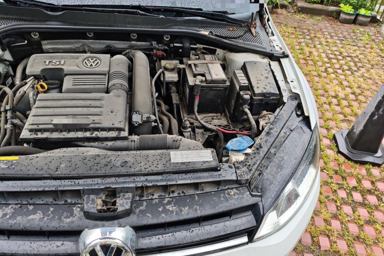 Volkswagen Golf 2017 car image #25
