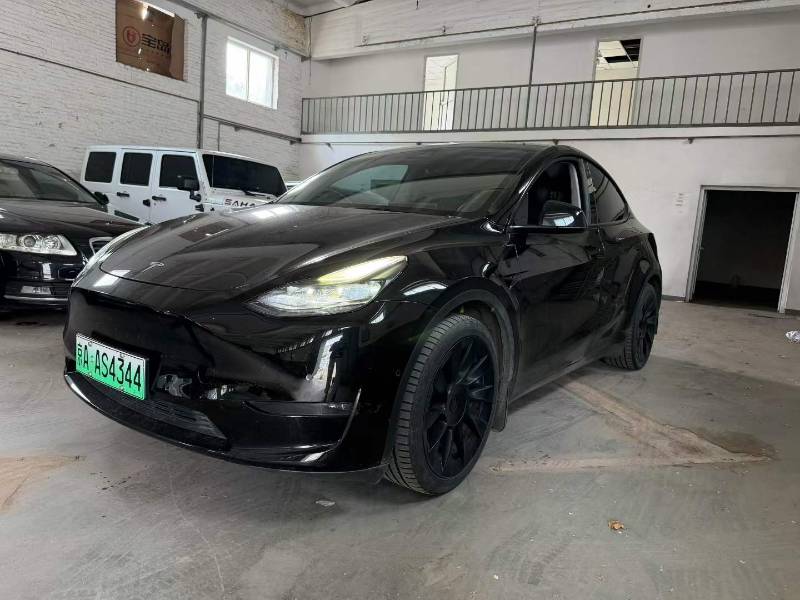 Tesla Model Y 2021 Tesla Model Y 2021 car image