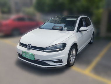 Volkswagen Golf 2019 Volkswagen Golf 2019 car image