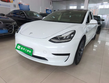 Tesla Model 3 2020 Tesla Model 3 2020 car image