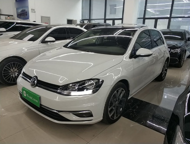 Volkswagen Golf 2019 Volkswagen Golf 2019 car image