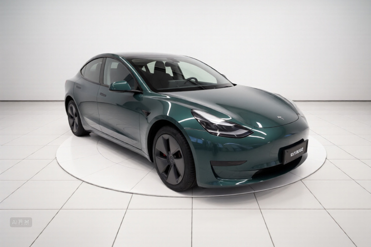 Tesla Model 3 2021 car image #4