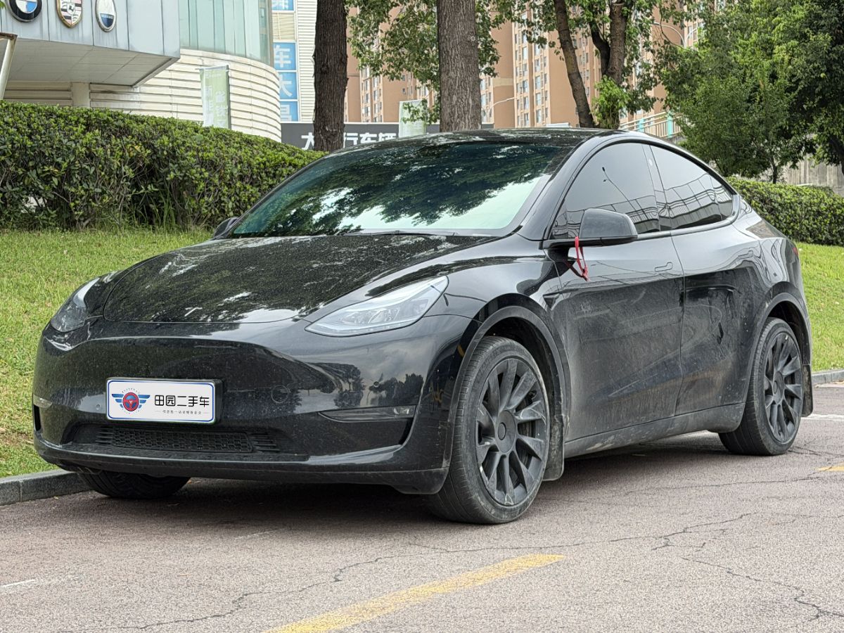 Tesla Model Y 2023 car image 