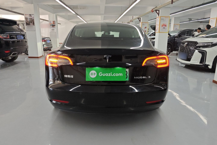 Tesla Model 3 2023 #6 Tesla Model 3 2023 car image #6