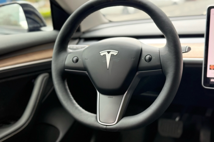Tesla Model 3 2021 immagine di auto #14