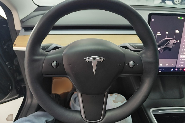 Tesla Model 3 2021 car image #11