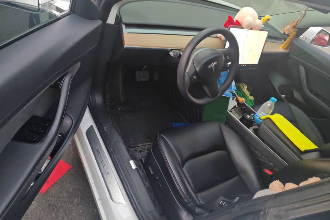 Tesla Model 3 2020 #24 Tesla Model 3 2020 car image #24