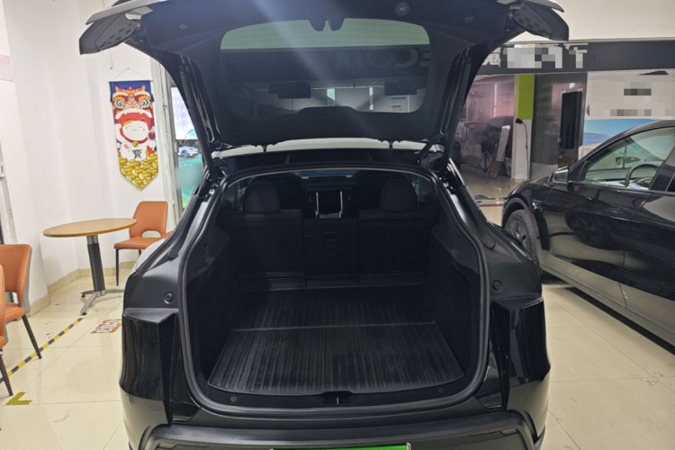 Tesla Model Y 2025 car image #19