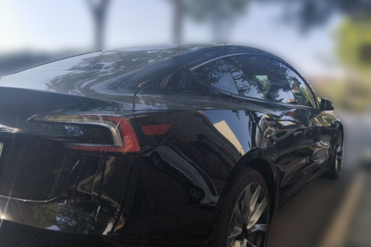 Tesla Model 3 2023 #5 Tesla Model 3 2023 car image #5