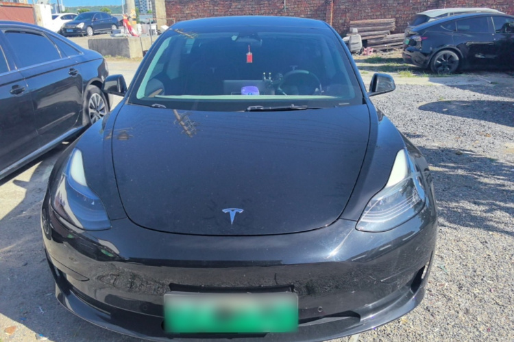 Tesla Model 3 2022 #3 Tesla Model 3 2022 immagine di auto #3