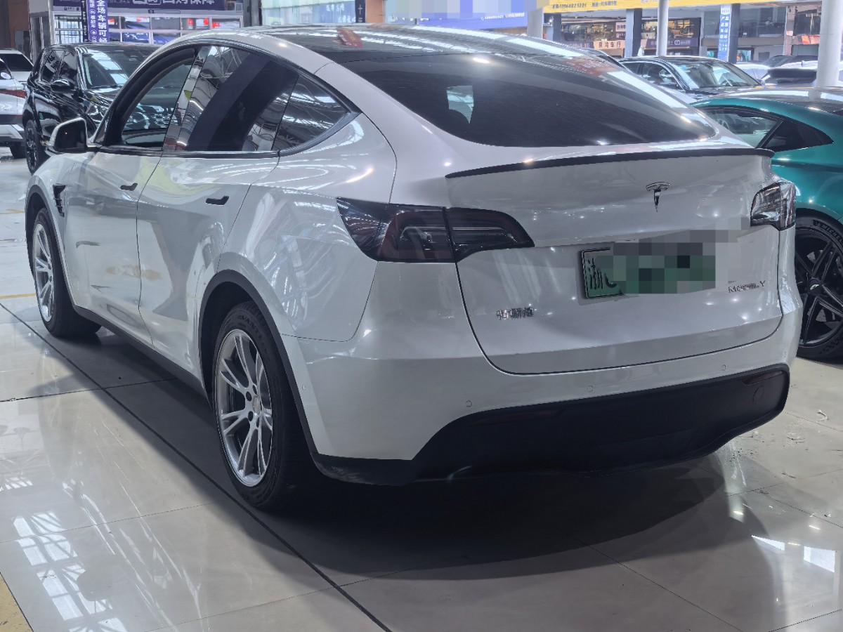 Tesla Model Y 2023 #6 Tesla Model Y 2023 car image #6