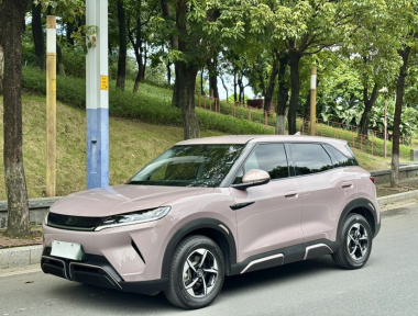 BYD YuanUP 2024 car image 