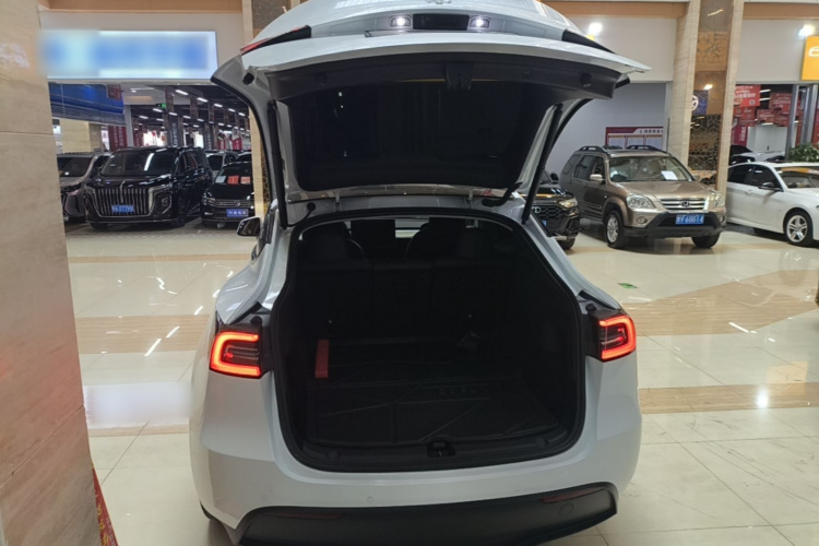 Tesla Model Y 2023 car image #19
