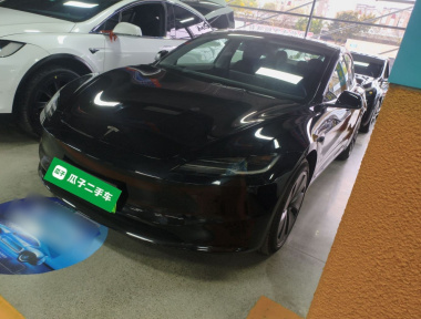Tesla Model 3 2024 Tesla Model 3 2024 car image