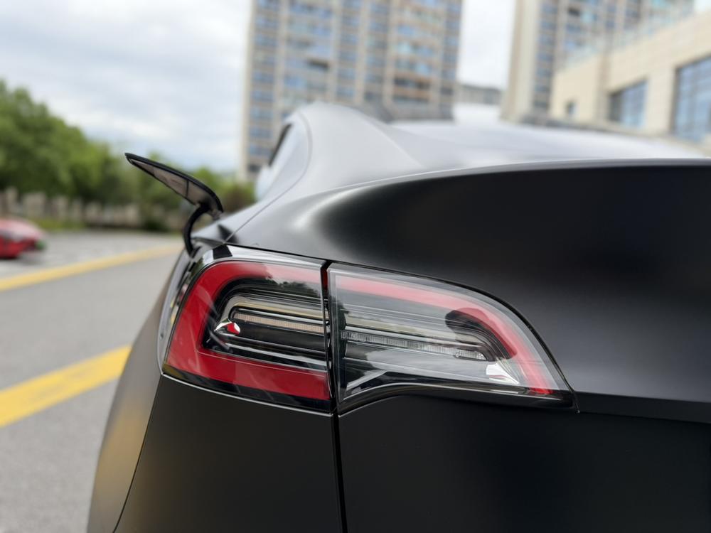 Tesla Model Y 2022 #8 Tesla Model Y 2022 car image #8