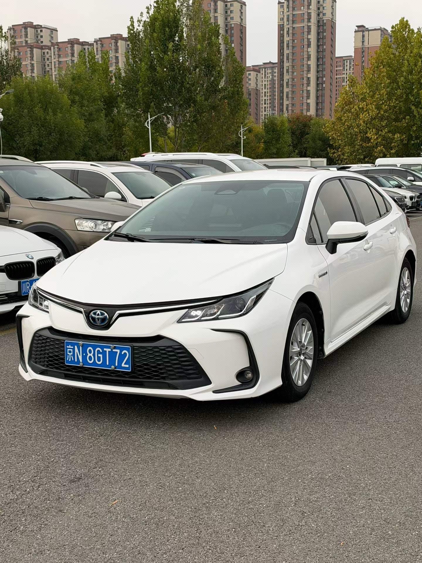 Toyota Corolla 2023 Toyota Corolla 2023 car image